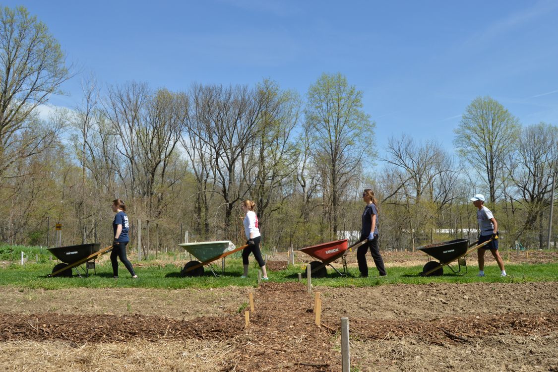 Community Garden Project Brings Neighbours Together